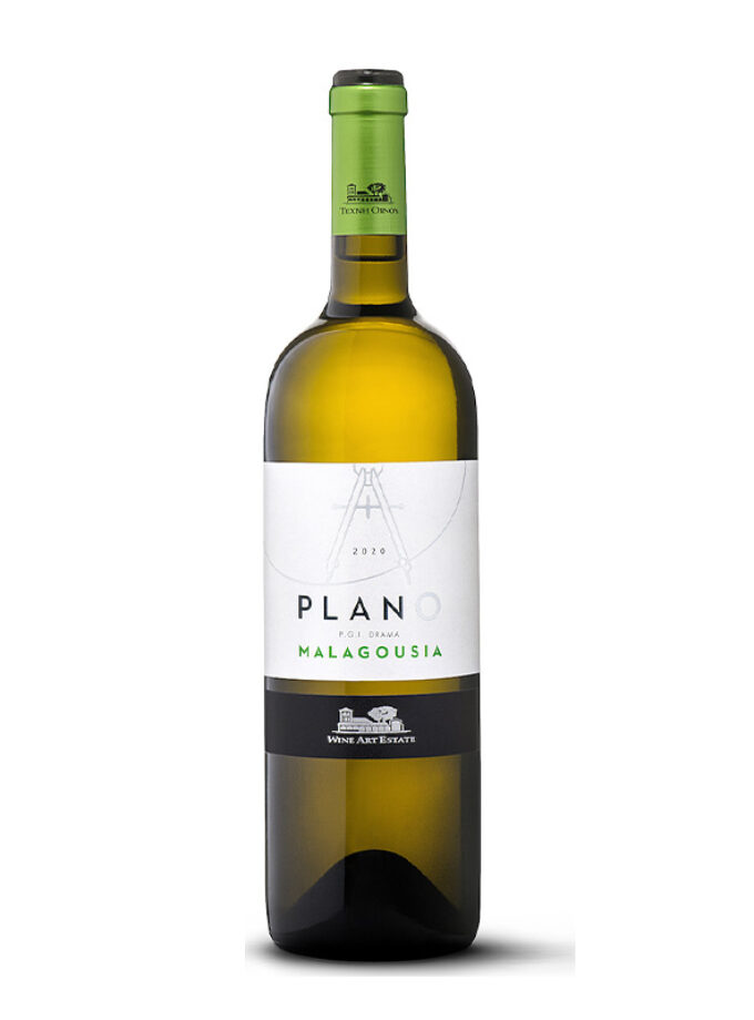cava800.gr | ΚΤΗΜΑ ΤΕΧΝΗ ΟΙΝΟΥ ''ΠΛΑΝΟ'' ΛΕΥΚΟ | 11% - 15% |  | €14.51 |  |  | Ελλάδα