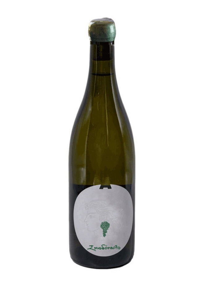 cava800.gr | ΑΜΠΕΛΩΝΕΣ Κ. ΑΝΤΩΝΟΠΟΥΛΟΥ ''ΣΚΙΑΔΟΠΟΥΛΟ'' ΛΕΥΚΟ | 11% - 15% | | €18.75 | | | Ελλάδα