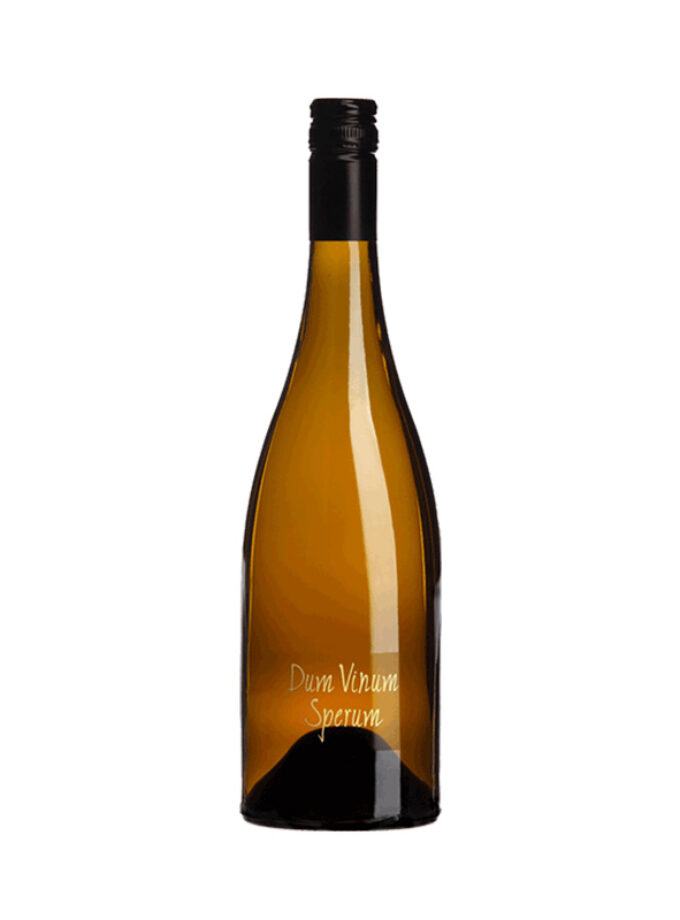cava800.gr | ΚΤΗΜΑ ΣΚΟΥΡΑΣ ''DUM VINUM SPERUM'' ΛΕΥΚΟ | 11% - 15% |  | €34.72 | 0.75 LT |  | Ελλάδα, Πελοπόνησσος